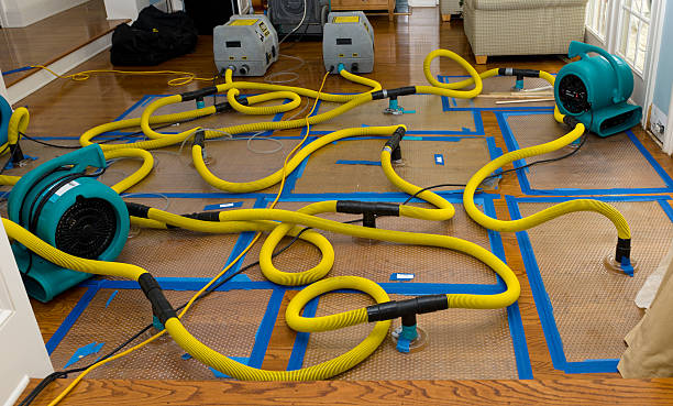 Professional Basement Flood Cleanup technician working in Commerce Township, MI